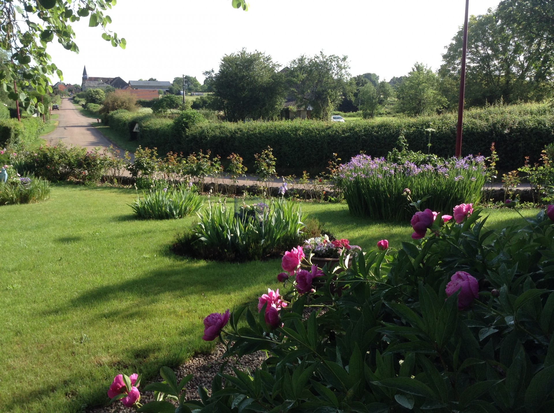 Fleurs dans un jardin du bourg