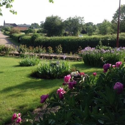 Fleurs dans un jardin du bourg