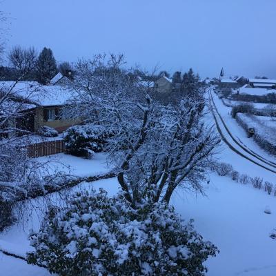 Neige dans un jardin du bourg