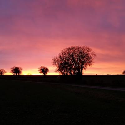 Ciel flamboyant