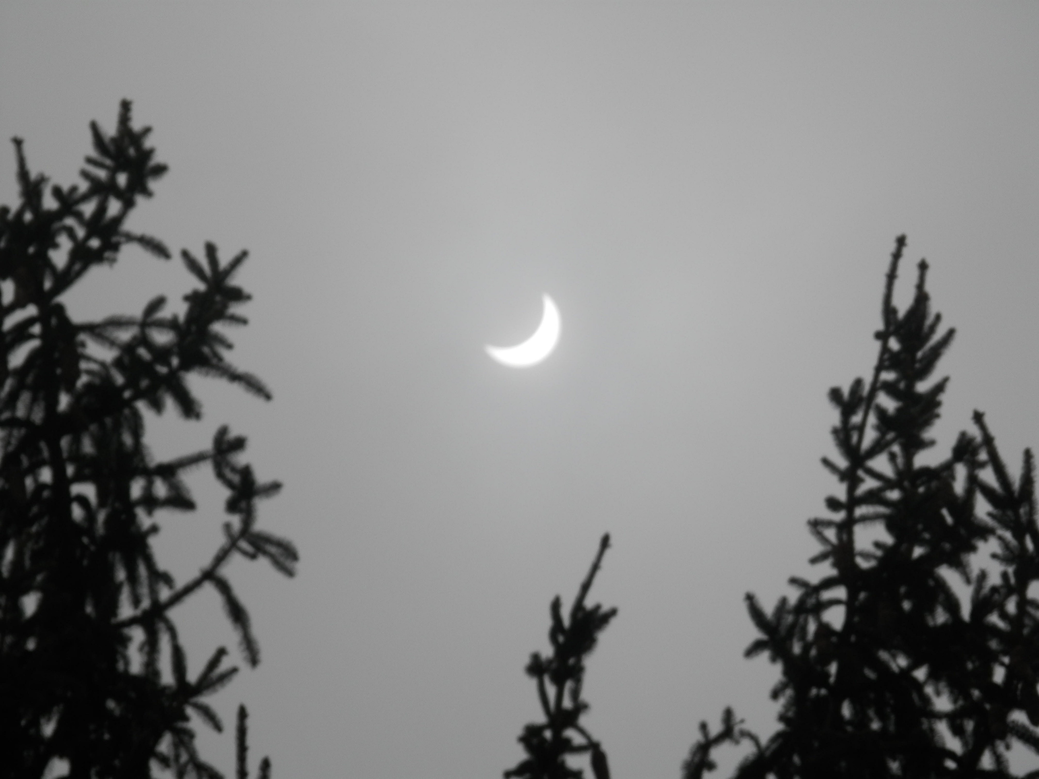 Eclipse en mars 2013- vue à Prélichy