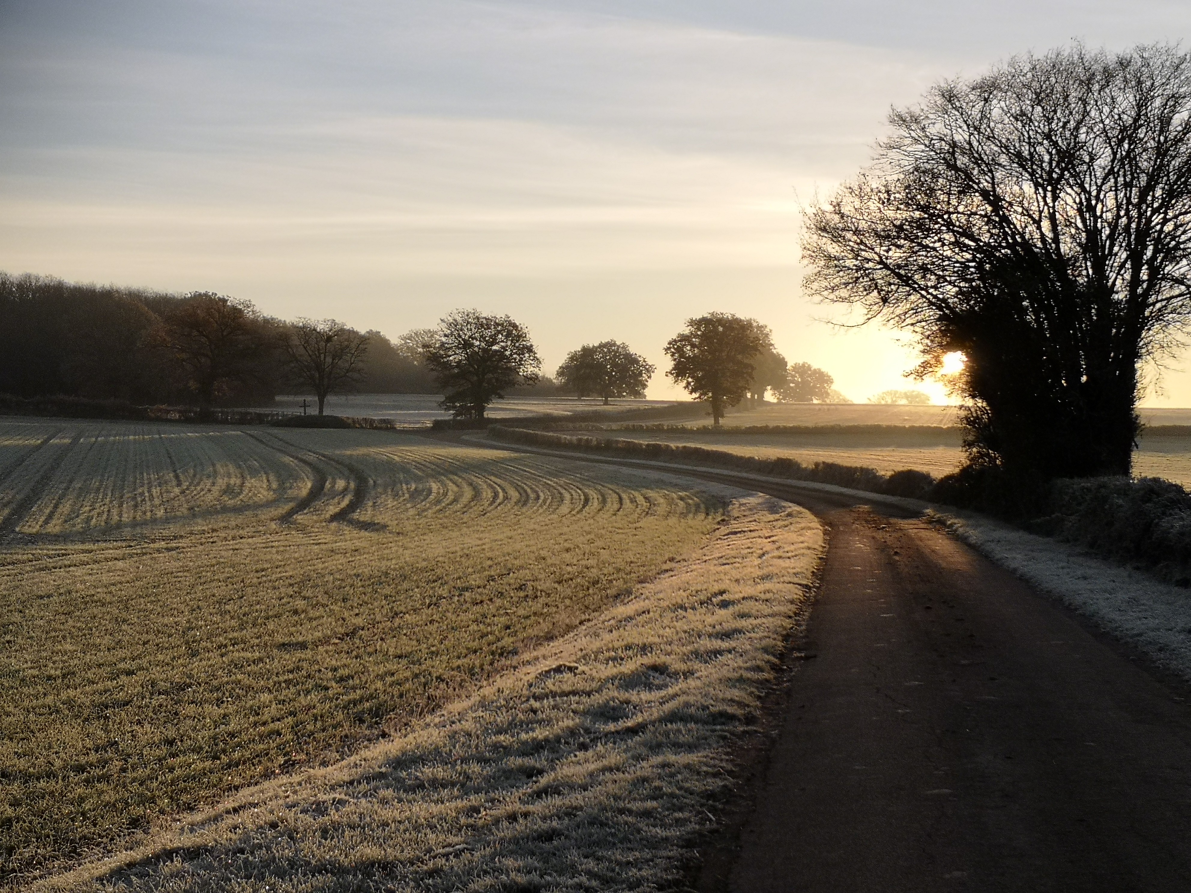 Soleil givré au matin