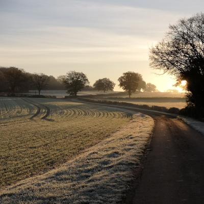 Soleil givré au matin