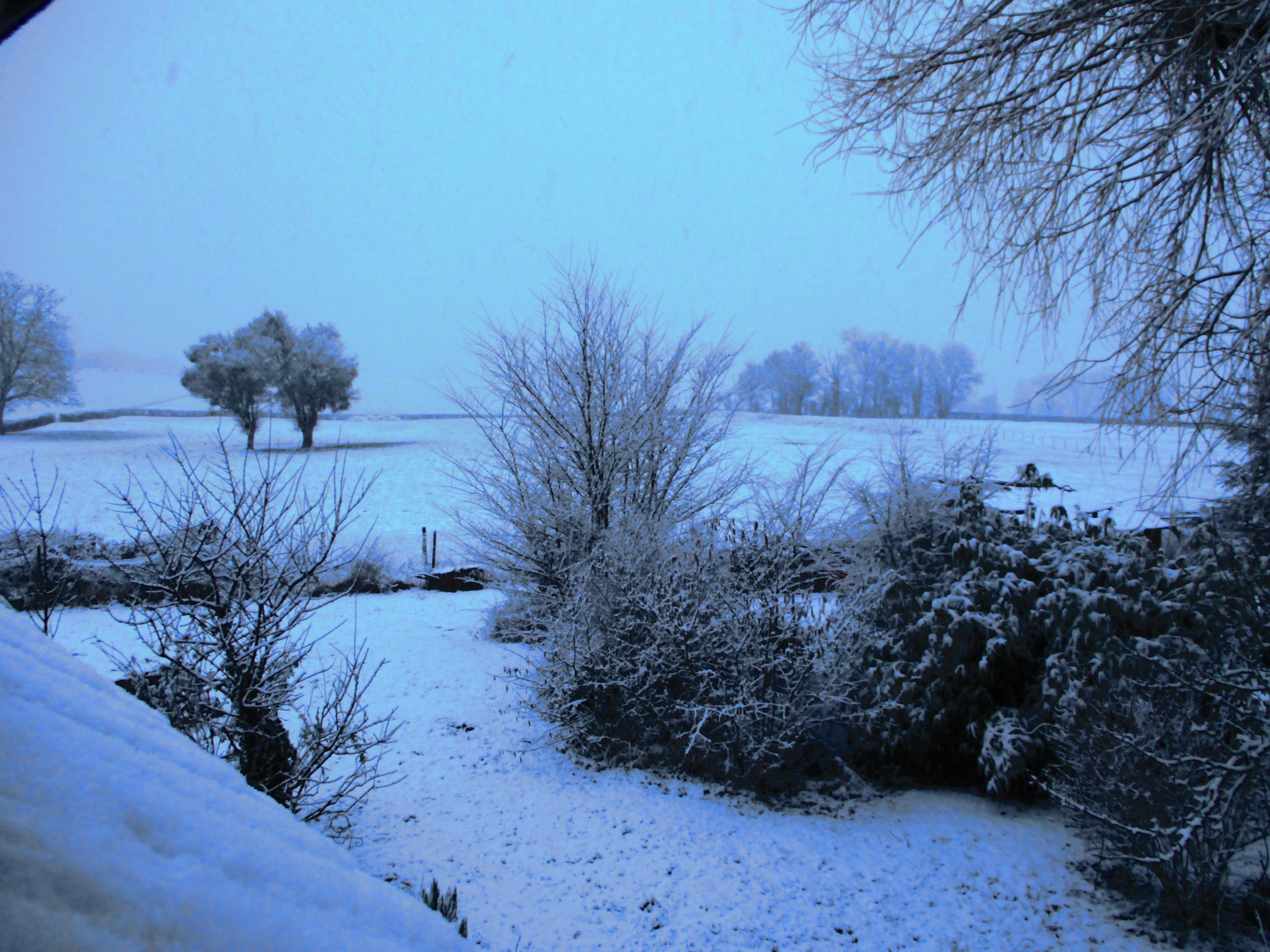 Neige à Prélichy