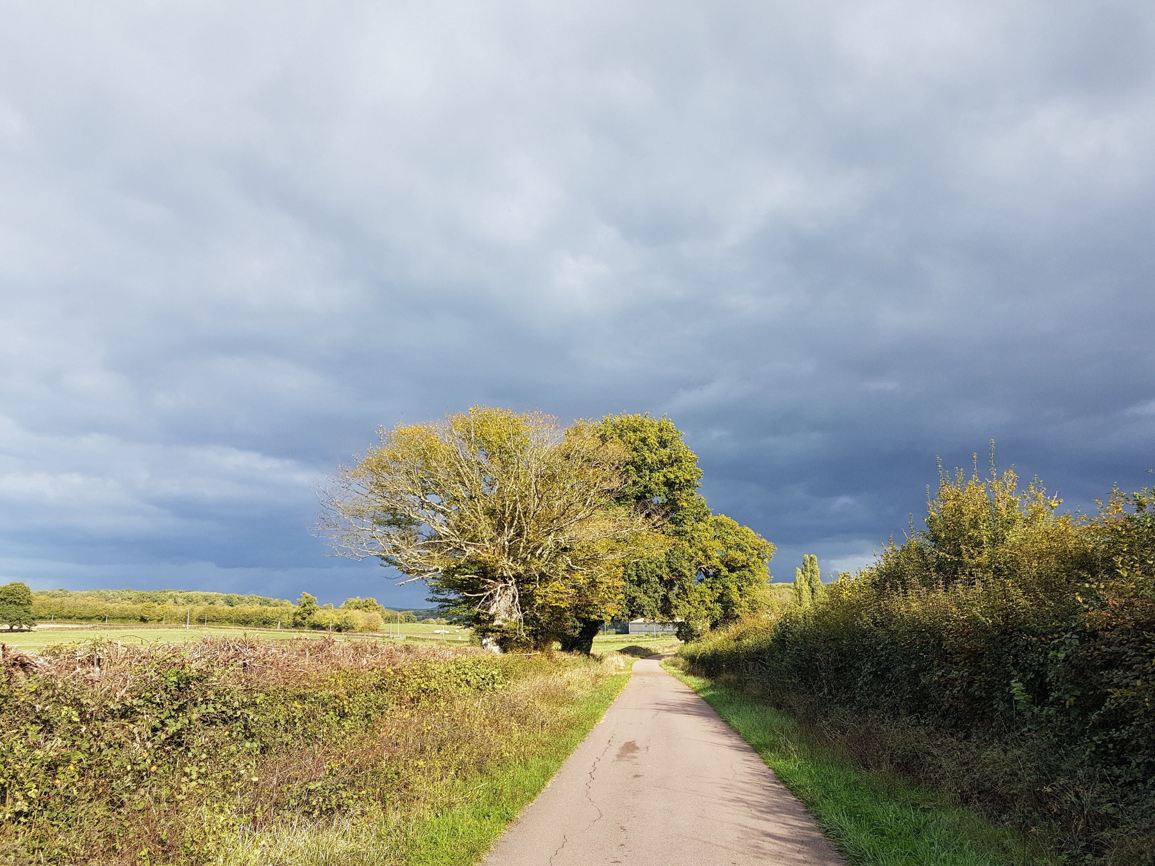 Sur la route 